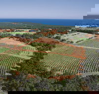 Wise Wine - Sunshine Coast Tourism