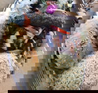 Arabella's Charcoal - Sunshine Coast Tourism