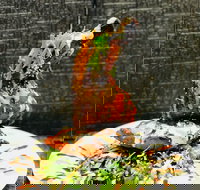 Cafe Bear and Scoobs - Sunshine Coast Tourism