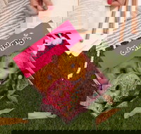 Donut King - Strathpine - Sunshine Coast Tourism