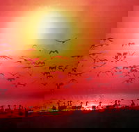 Fannie Bay Super Pizza - Sunshine Coast Tourism