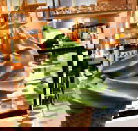 Greenccino - Holiday Sunshine Coast