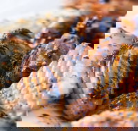 Gus's Seafood - Holiday Sunshine Coast