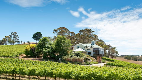 Hahndorf Hill Winery - Sunshine Coast Tourism 1