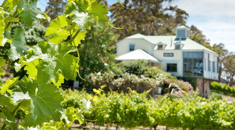 Hahndorf Hill Winery - Sunshine Coast Tourism 2