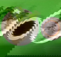 Red Ribbon Noodle  Rice - Sunshine Coast Tourism