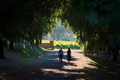 St Hugo - Sunshine Coast Tourism 1