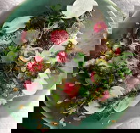 Tiggy - Sunshine Coast Tourism