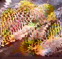 Toshiya - Sunshine Coast Tourism