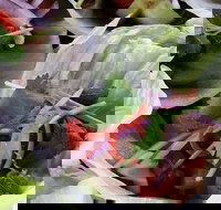 Tran Tran - Sunshine Coast Tourism