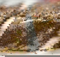 Kafenio - Sunshine Coast Tourism