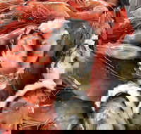 Mi Shells Seafood - Sunshine Coast Tourism