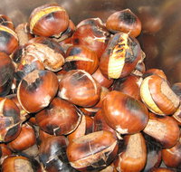 Tweenhills Chestnuts - Sunshine Coast Tourism