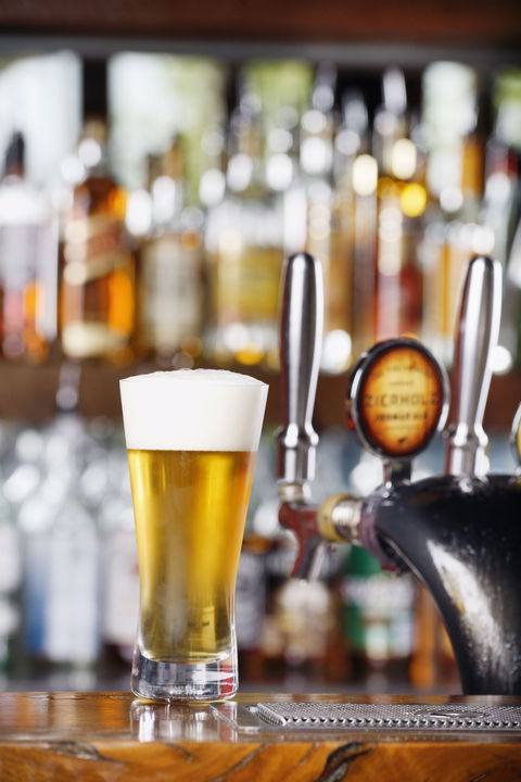 Zierholz Premium Brewery - Holiday Sunshine Coast 2