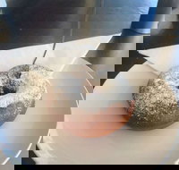 Alberto's Shot Espresso Bar - Sunshine Coast Tourism