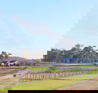 Blacklea Vineyard and Olive Grove - Holiday Sunshine Coast