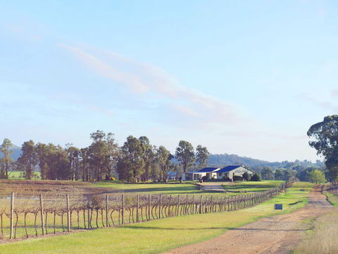 Blacklea Vineyard And Olive Grove - Holiday Sunshine Coast 0