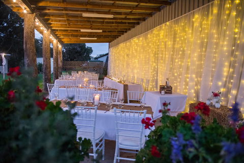 Canoelands Orchard - Holiday Sunshine Coast 2
