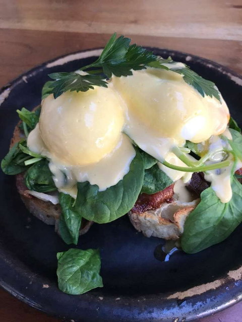 City Farm Cafe - Sunshine Coast Tourism 0