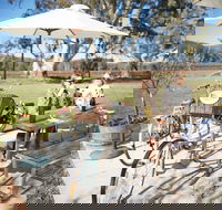 Dal Zotto Wines Cellar Door - Sunshine Coast Tourism