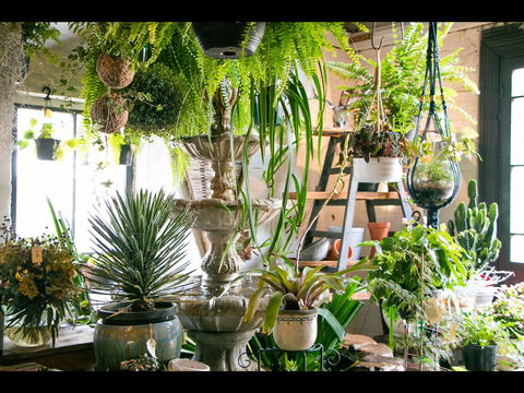 Deadwood - Sunshine Coast Tourism 2