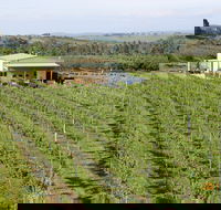 Dindima Wines - Holiday Sunshine Coast