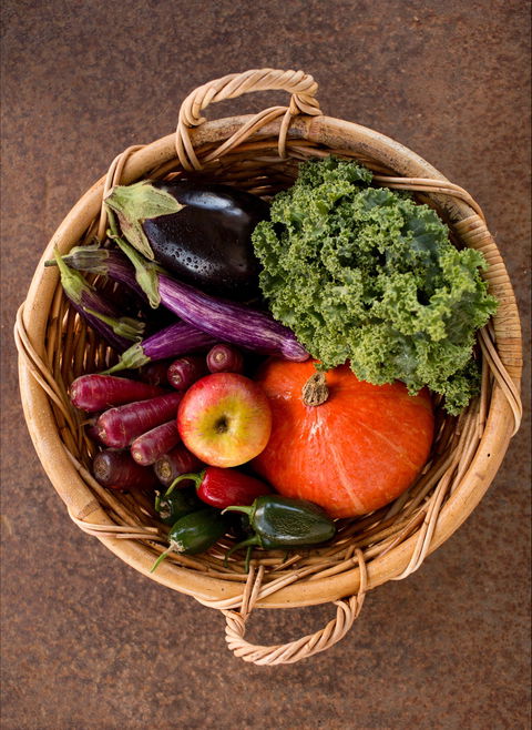 Farm Club: Farm Shop And Canteen - Holiday Sunshine Coast 2