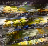 Jesters - Midland - Holiday Sunshine Coast