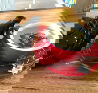 Marco's Deli Cafe Foodstore - Sunshine Coast Tourism