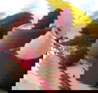 Oskars On Burleigh - Sunshine Coast Tourism