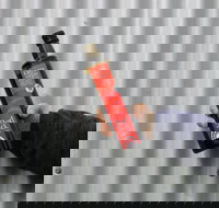 Red Rock Olives - Sunshine Coast Tourism