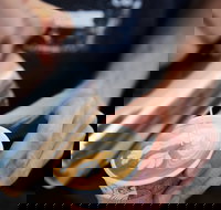 Soul Origin - Robina - Sunshine Coast Tourism