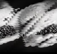 The Caffeine Project - Sunshine Coast Tourism