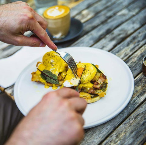 Travelling Bandit - Sunshine Coast Tourism 0