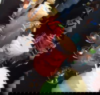 Wiseguy Espresso and Schnitzel Bar - Sunshine Coast Tourism