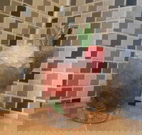 Bar None - Sunshine Coast Tourism