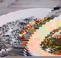 Camden Valley Inn - Sunshine Coast Tourism