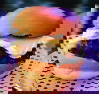 Chur Burger - Mount Druitt - Sunshine Coast Tourism