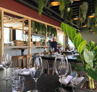 Ficus - Holiday Sunshine Coast