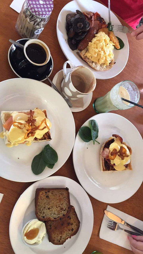 Foxy Bean - Holiday Sunshine Coast 0