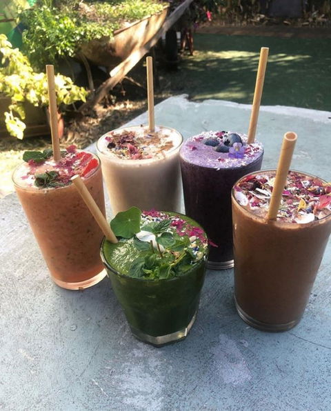 Garden Grub Cafe - Holiday Sunshine Coast 0