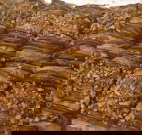 Kolachi - Sunshine Coast Tourism