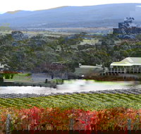 Milton Vineyard - Sunshine Coast Tourism