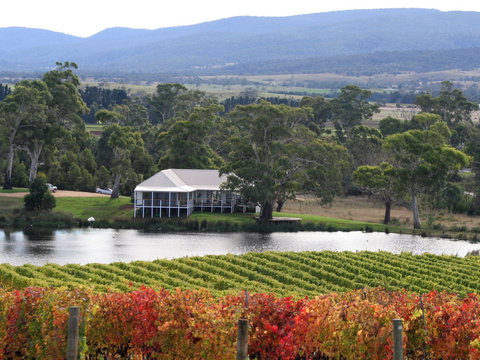 Milton Vineyard - Sunshine Coast Tourism 0