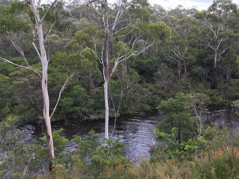Mongarlowe Gourmet - Sunshine Coast Tourism 2