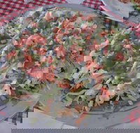 Texas Wild Wings - Sunshine Coast Tourism