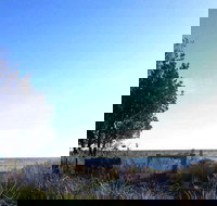 The Seafood Grill - Sunshine Coast Tourism