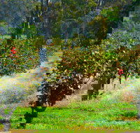 The Red Apron Gourmet Kitchen - Sunshine Coast Tourism