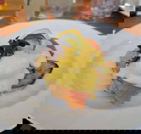 White Rabbit Restaurant - Sunshine Coast Tourism