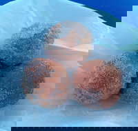 Coral Bay Bakery - Sunshine Coast Tourism